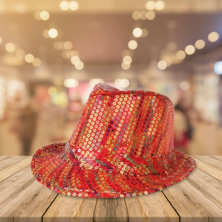 Sequin Hats